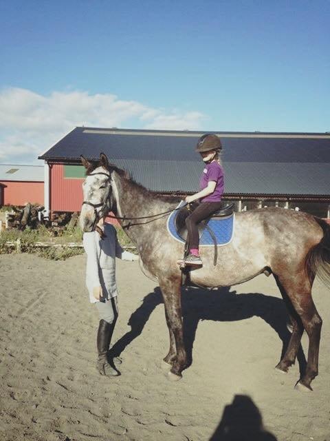 Fuldblod (XX) (solgt) My Malik - min niece prøver lige malik billede 5