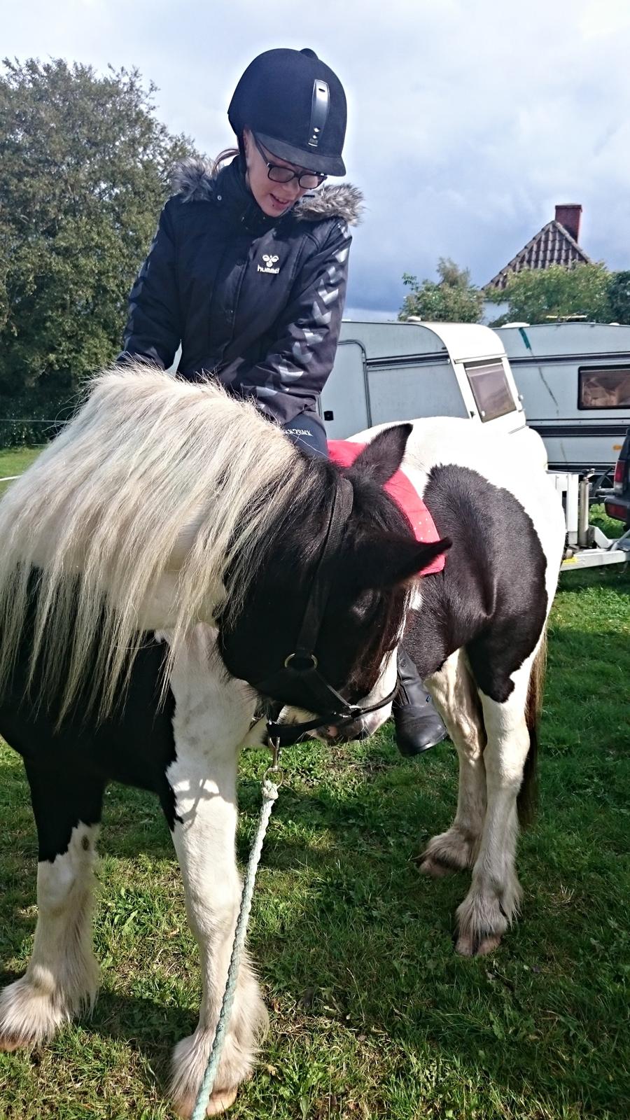 Tinker Skovbakkens Maggi May - Maggi med rytter på, udenfor stalden, for første gang. Rytter: Maiken. billede 39