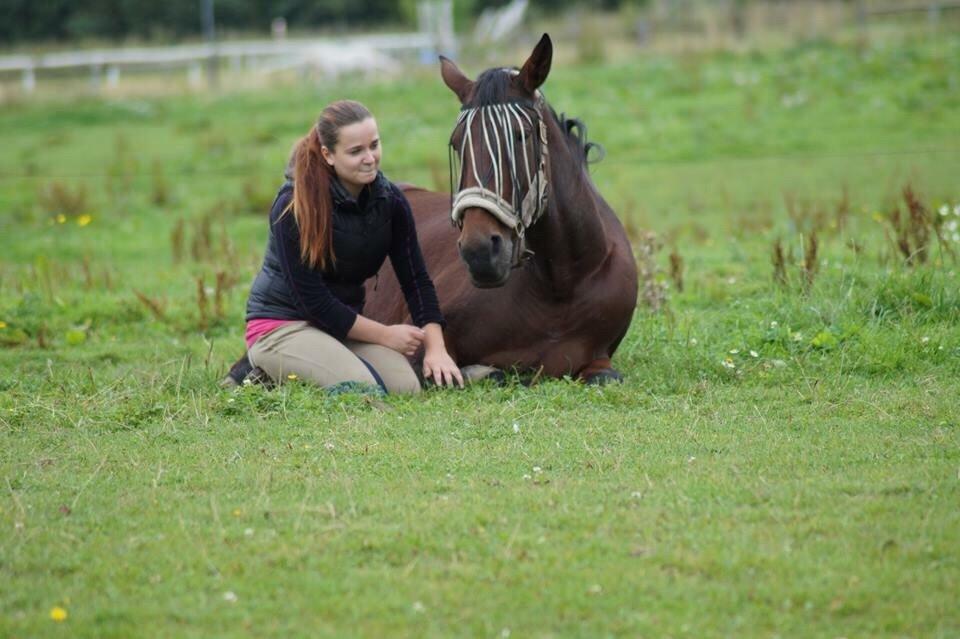 Traver Donna (prima Donna) billede 36