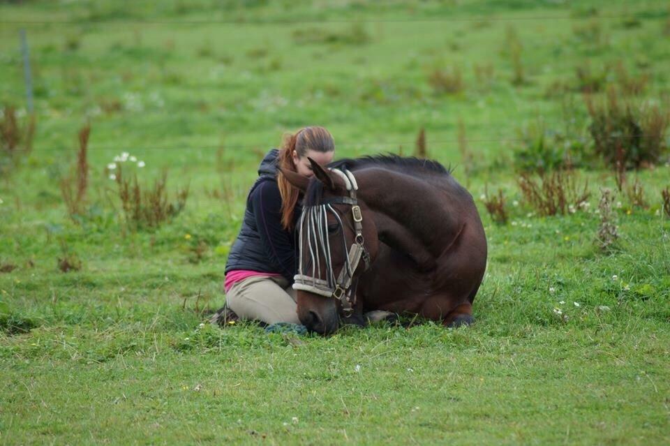 Traver Donna (prima Donna) billede 34