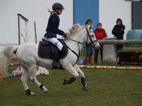 Hollandsk Sportspony Princess billede 4