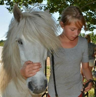 Islænder Djákni ulvkjær billede 1