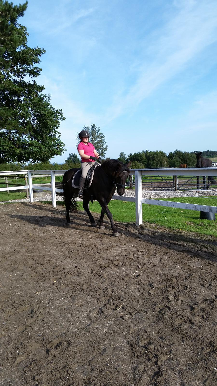 Anden særlig race Shadow billede 13