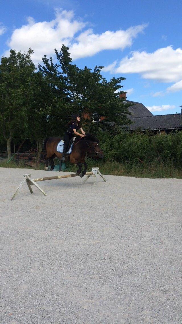 Anden særlig race Egholmsgårds Kasper:) billede 19