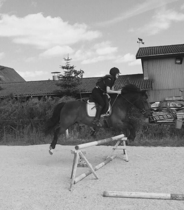 Anden særlig race Egholmsgårds Kasper:) billede 18