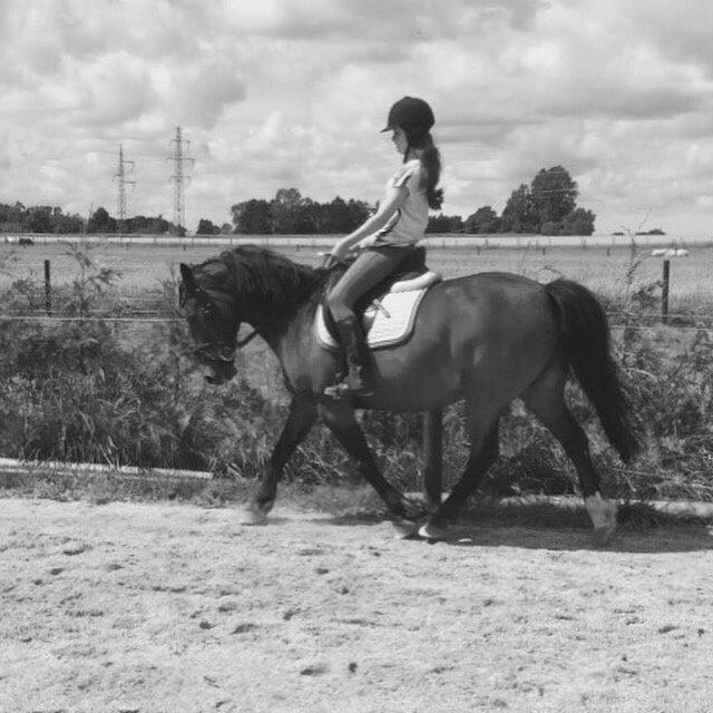 Anden særlig race Egholmsgårds Kasper:) billede 8