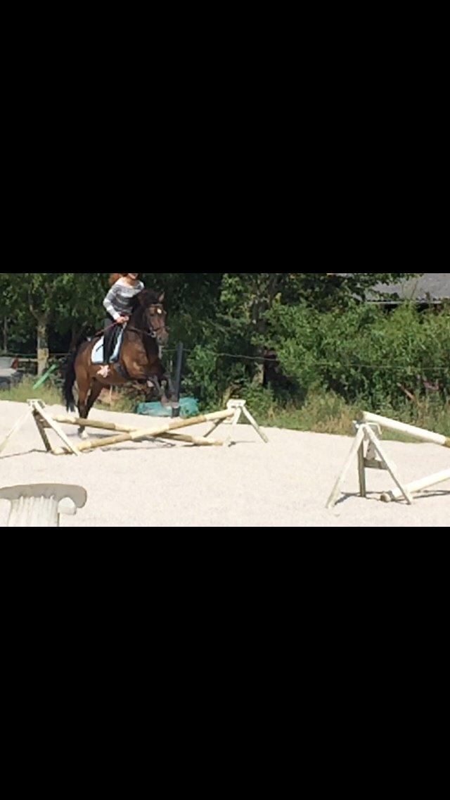 Anden særlig race Egholmsgårds Kasper:) billede 16