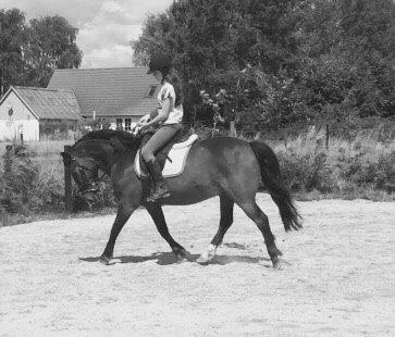 Anden særlig race Egholmsgårds Kasper:) billede 13