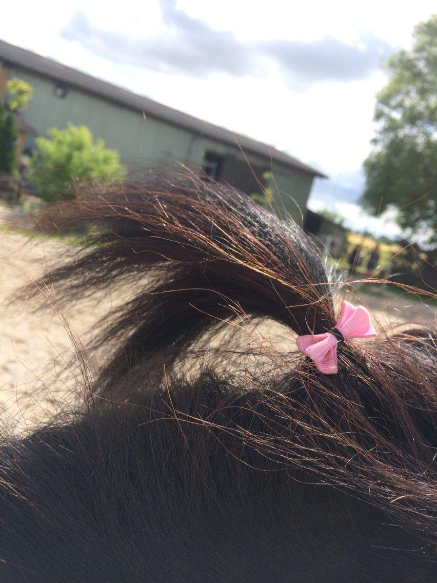 Anden særlig race Egholmsgårds Kasper:) billede 12