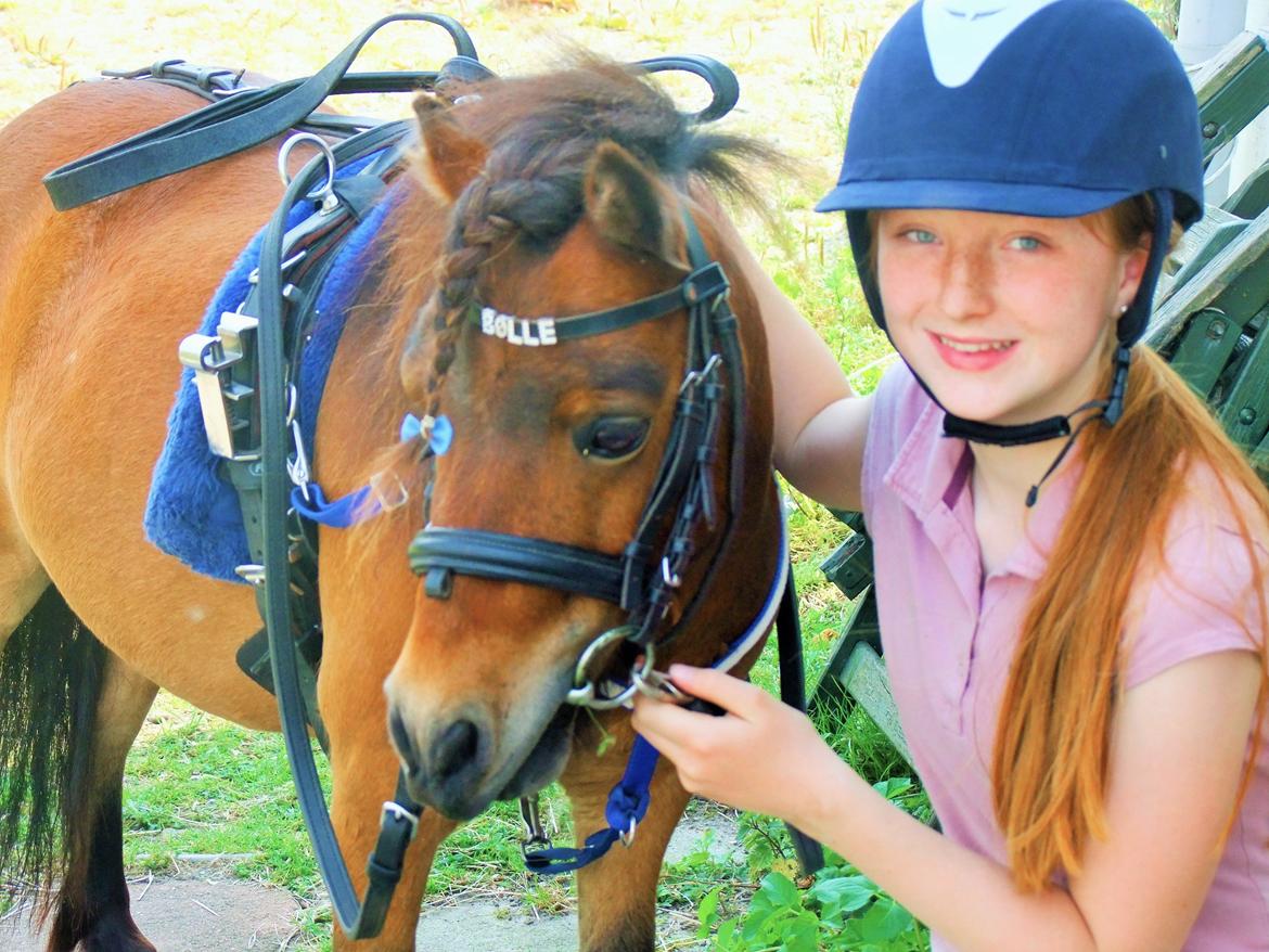 Shetlænder Bølle Bob - Bølle og mig billede 16