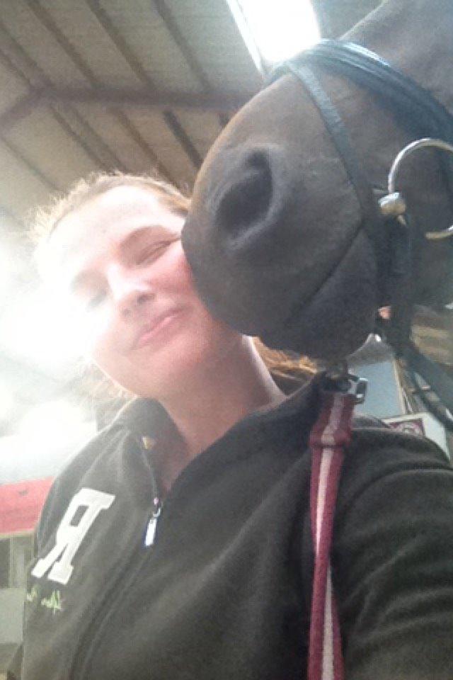 Dansk Varmblod Egelund yemen - En ven i verdensklasse <3 billede 6