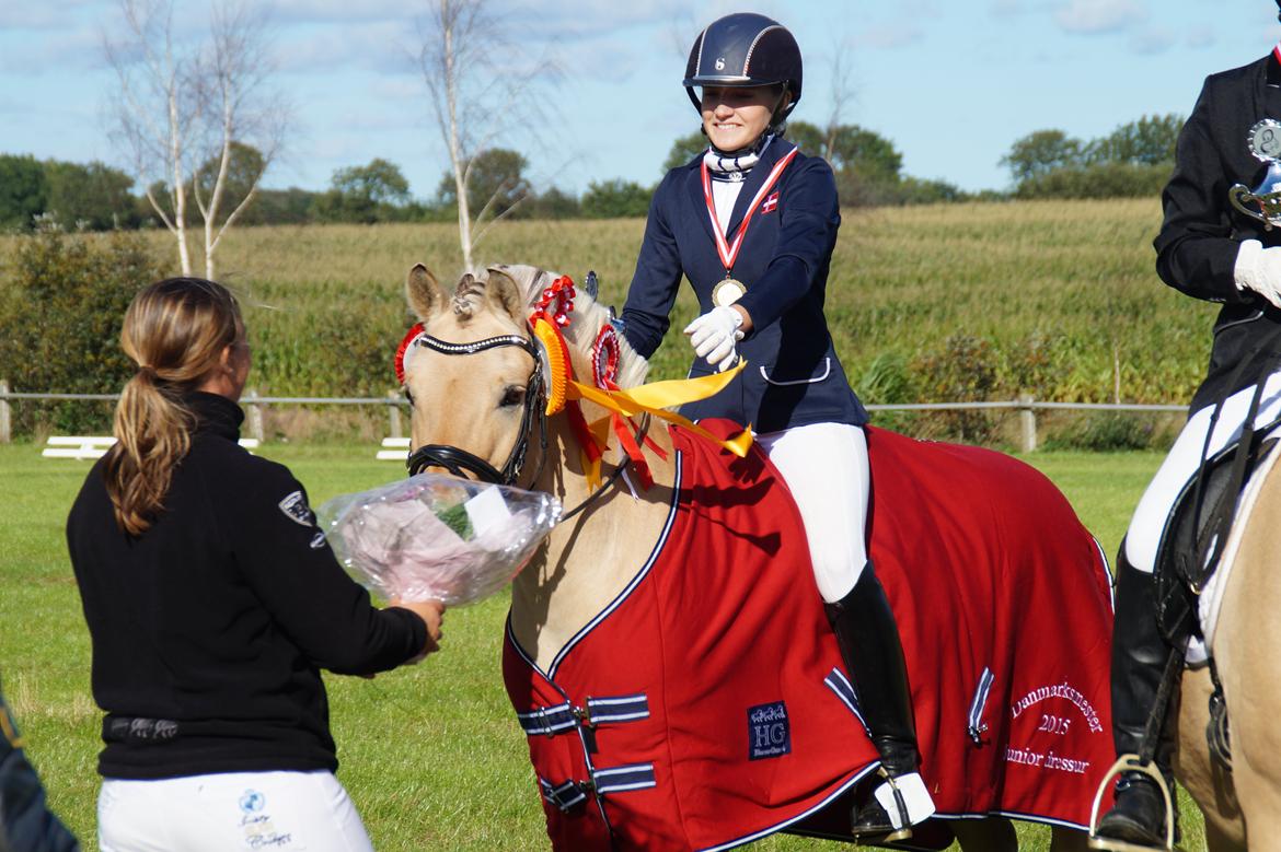 Fjordhest Håkon EM-, NM- og DM-mester samt B-pony  - DANMARKSMESTRE 2015 juniordressur for fjordheste billede 8