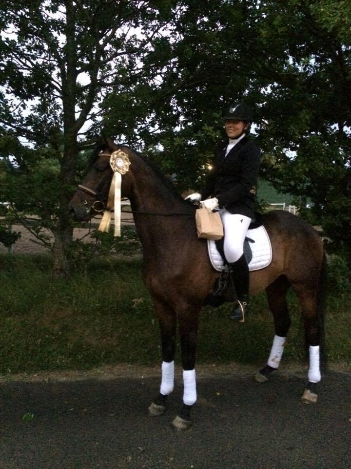 Trakehner Kattavango billede 9