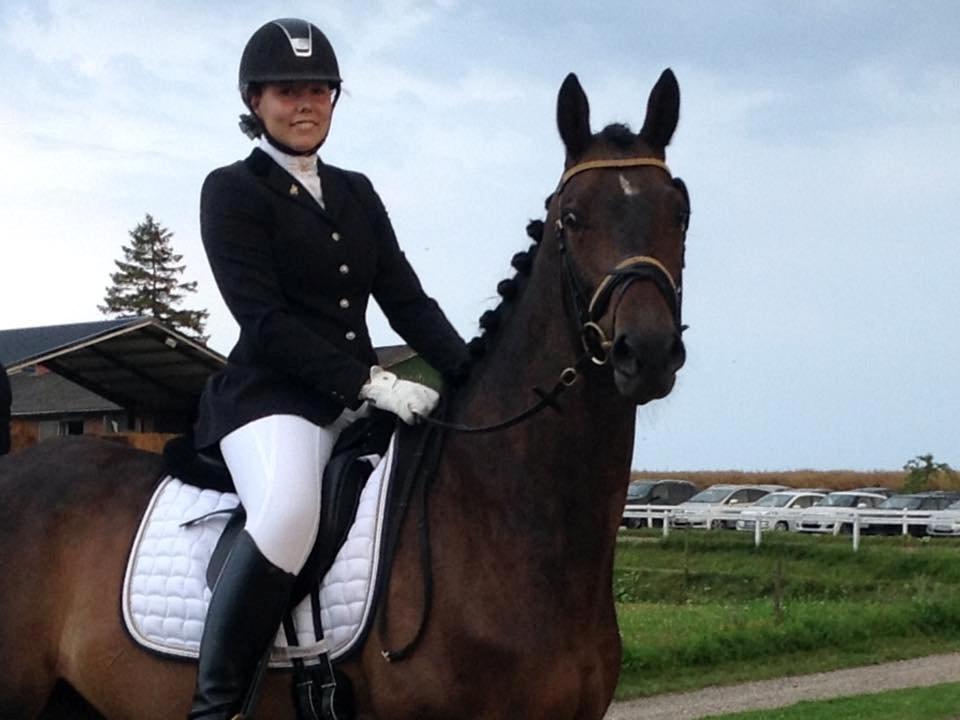 Trakehner Kattavango billede 6