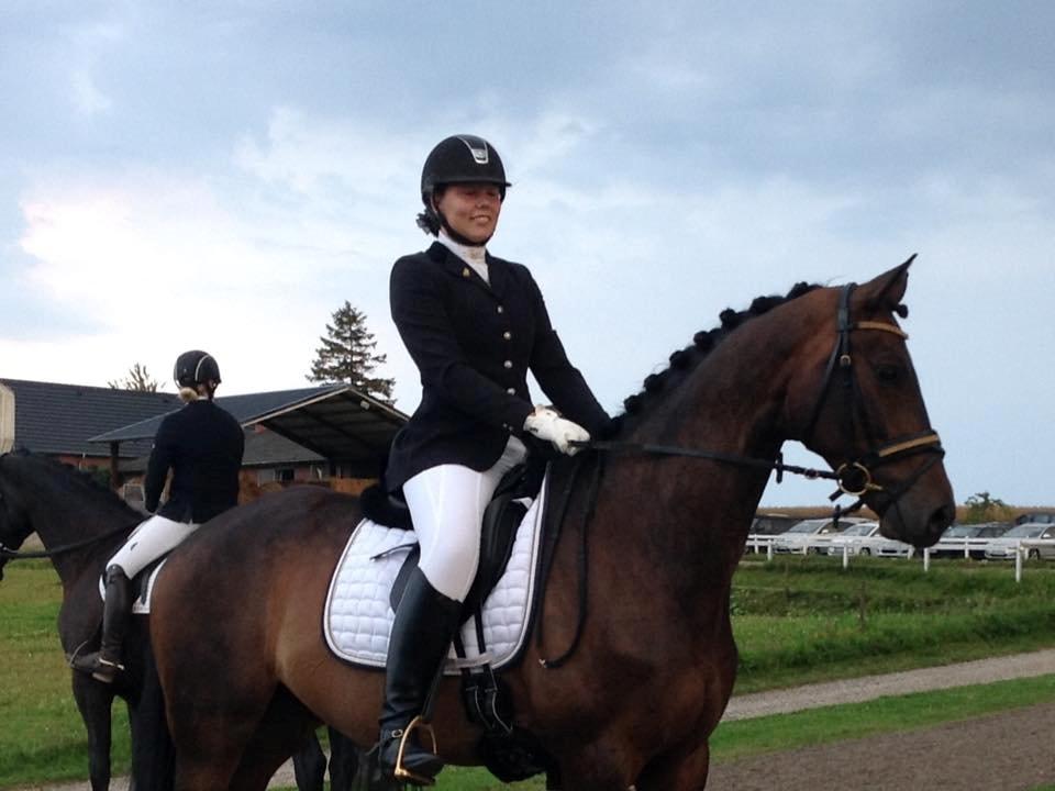 Trakehner Kattavango billede 8