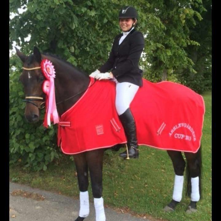 Trakehner Kattavango billede 2