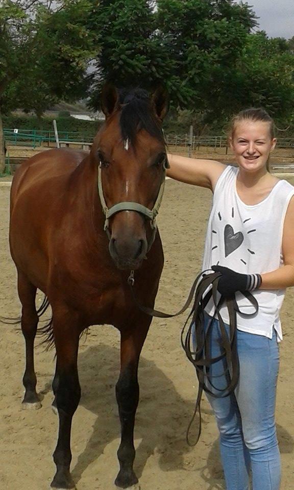 Pura Raza Española Cody (Lagartijo XXXVI) billede 15