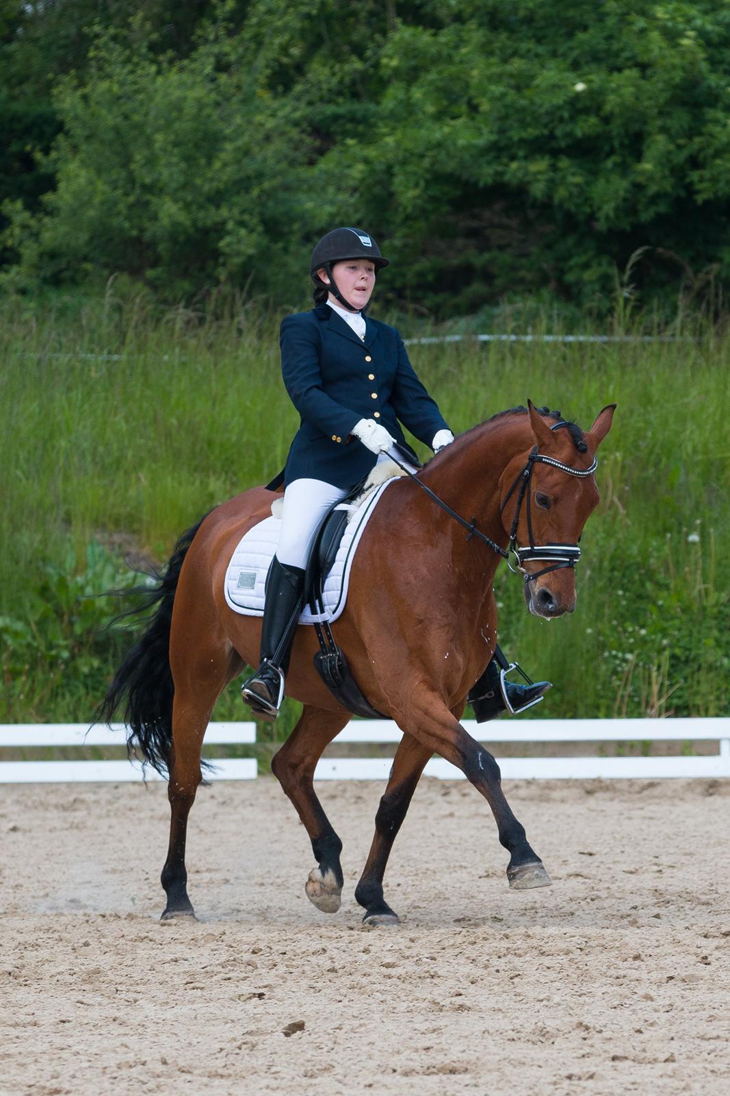 Anden særlig race Archibald - 1. afd. klubmesterskab. Foto: Cecilie Graversen billede 1