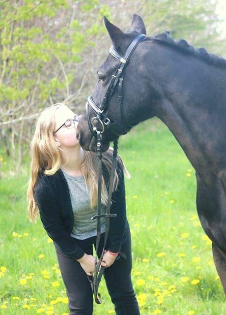 New Forest Remontes black beauty - Jeg elsker den pony <3  billede 13