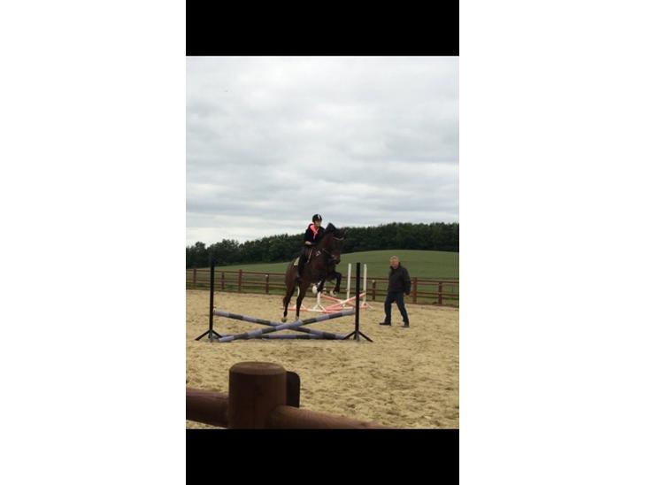 {{currentPhoto.altText}} billede {{currentPhoto.number}}