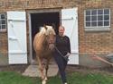 Palomino Dusty