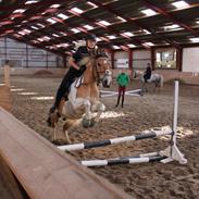 Anden særlig race Monak