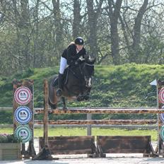 DSP Sebastian B-pony 