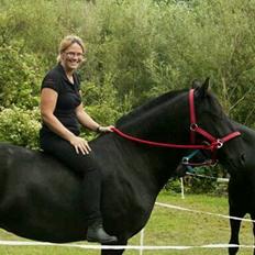 Minorquin Ailia Ranolia