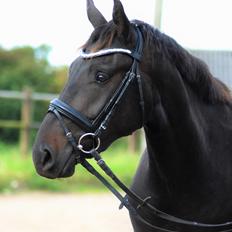 Oldenborg Matinique <3