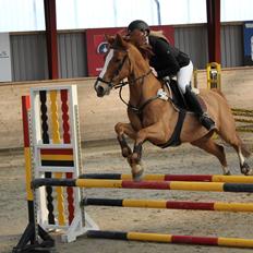 DSP Lintrupgaards spirit