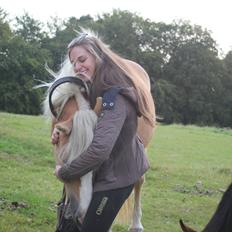 Tyroler Haflinger Stella