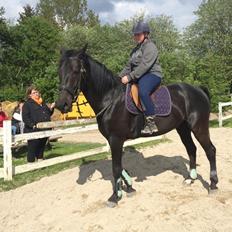 Anden særlig race I Piratus