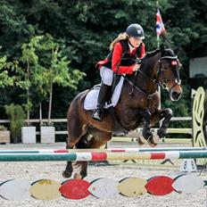 Irsk Sportspony Bessbrook Clover *A-pony*