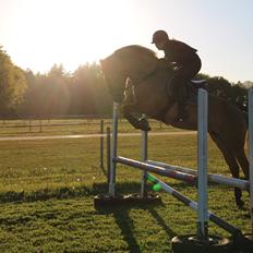 Anden særlig race Mon Chéri