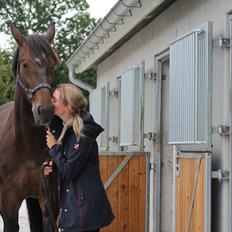 Svensk Varmblod Garinja