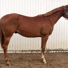 Quarter Macs Good N Powerful