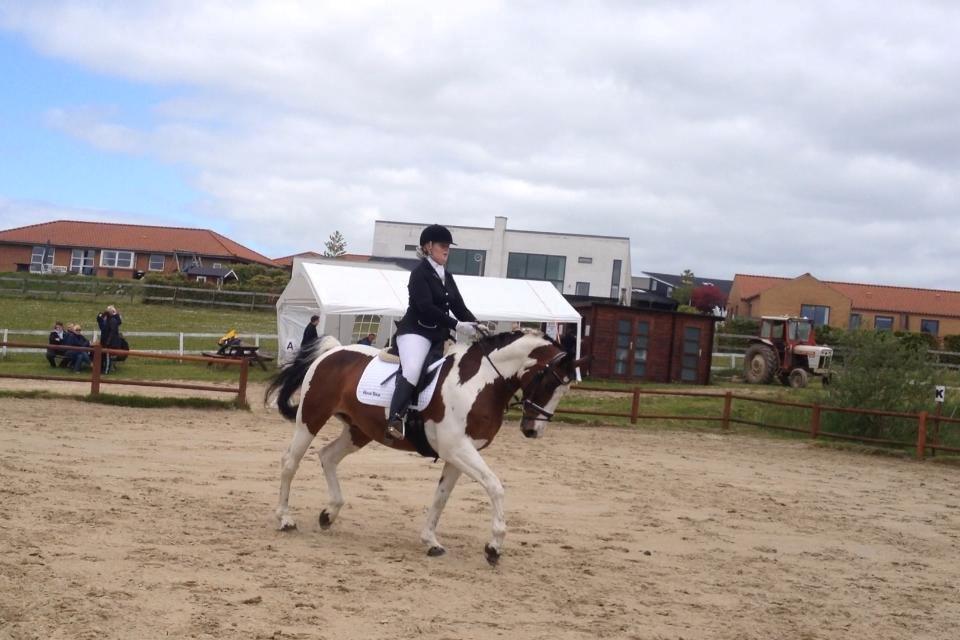 Pinto PePitto - Petti<3 billede 12