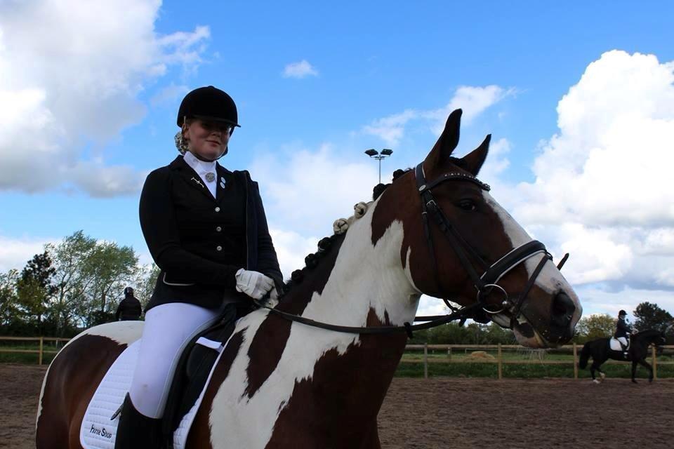 Pinto PePitto - Petti<3 billede 15