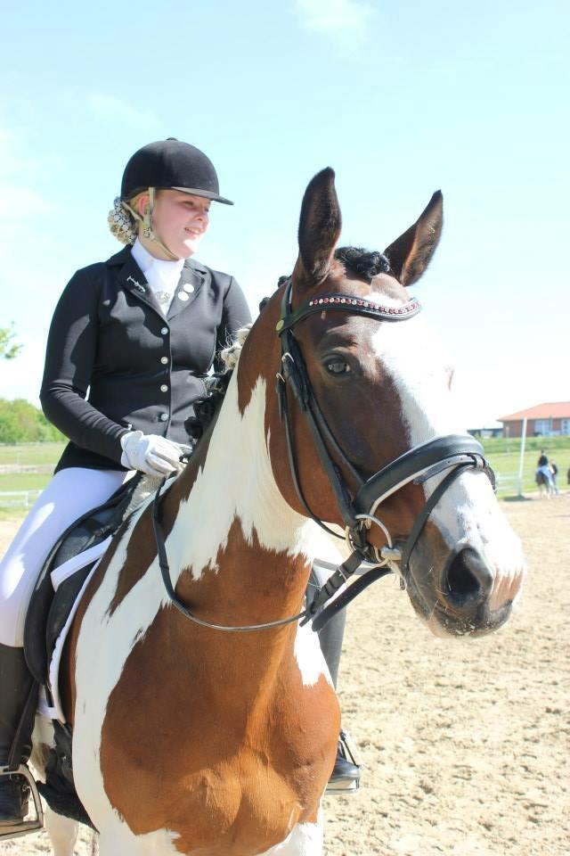 Pinto PePitto - Petti<3 billede 14