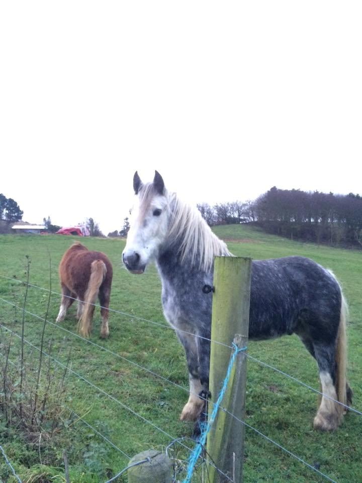 Tinker Manse (Tidligere Conn) billede 2