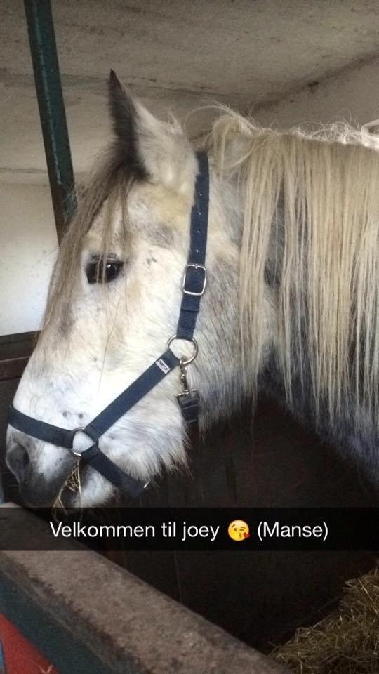 Tinker Manse (Tidligere Conn) billede 1