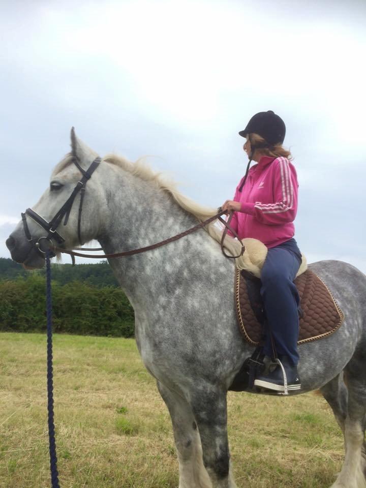 Tinker Manse (Tidligere Conn) billede 4