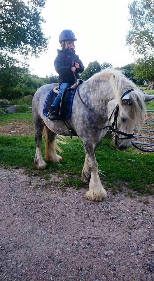 Tinker Manse (Tidligere Conn) billede 5