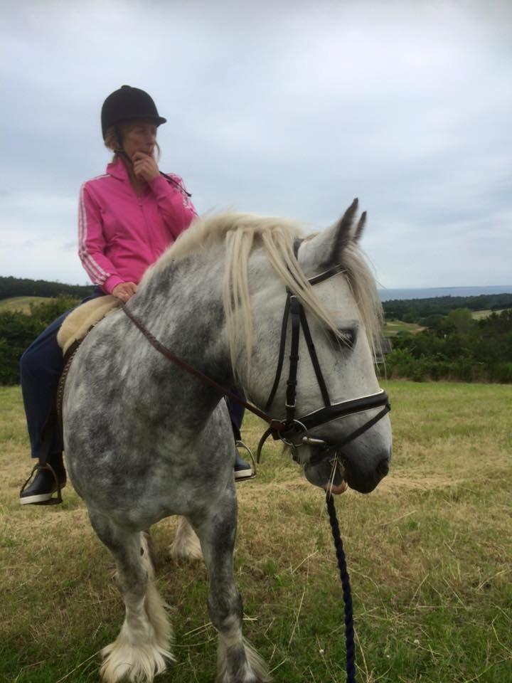 Tinker Manse (Tidligere Conn) billede 6