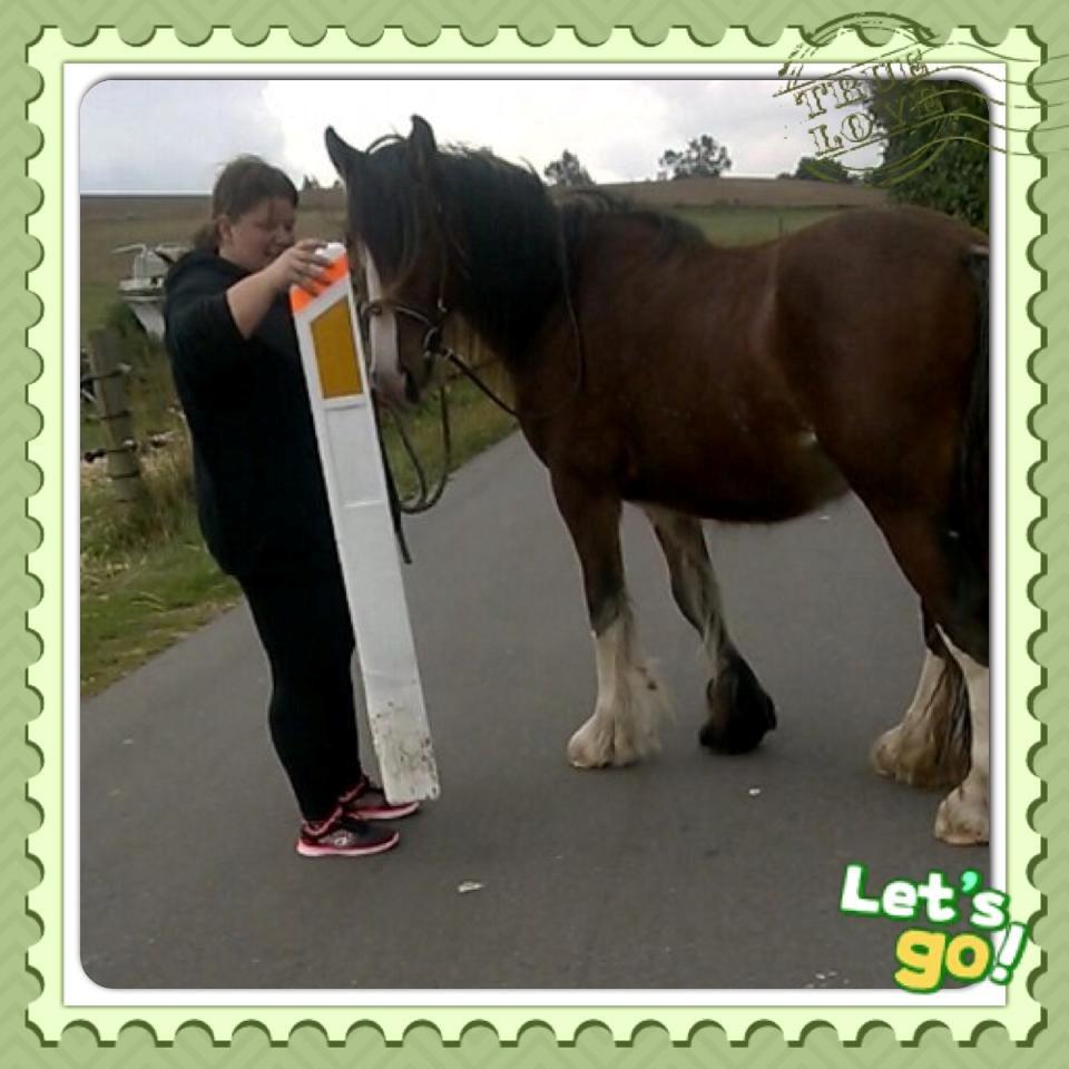 Tinker Aasgaard's Mac. O' Connor billede 18