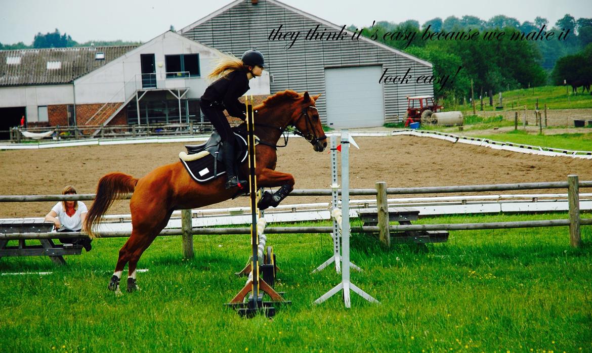 DSP Lindveds Musca billede 19