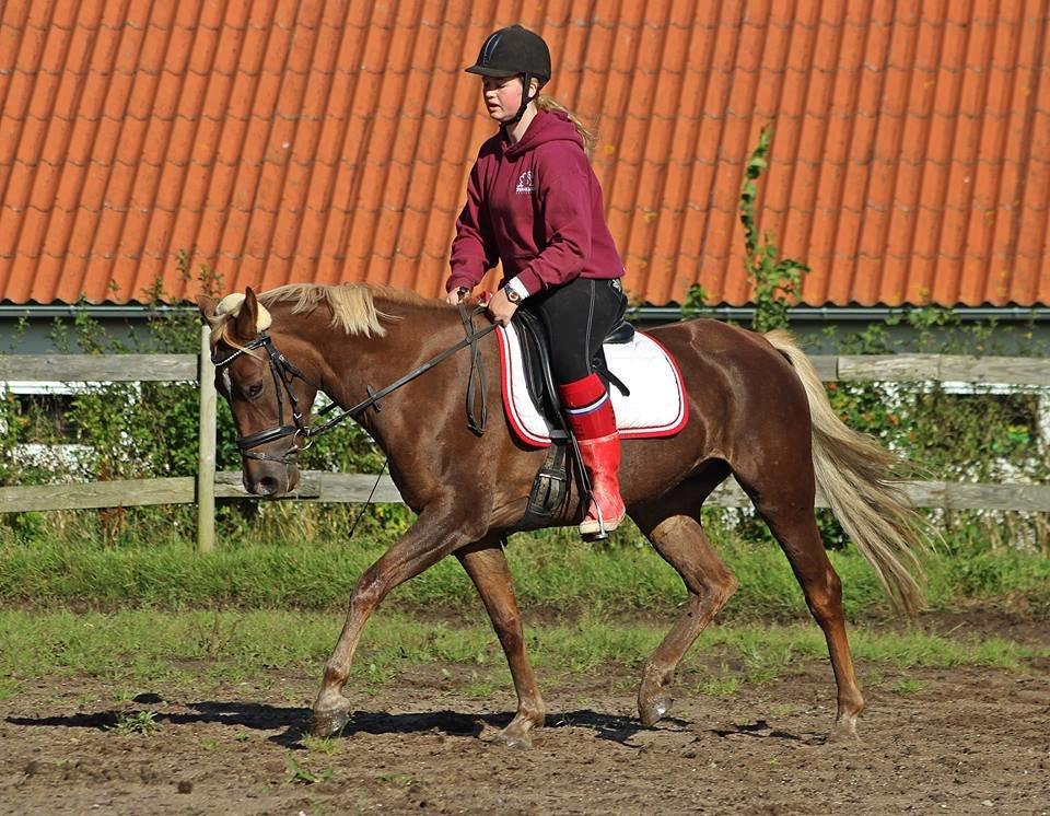 DSP Sunspot - Taget af Lindgreen Photography billede 13