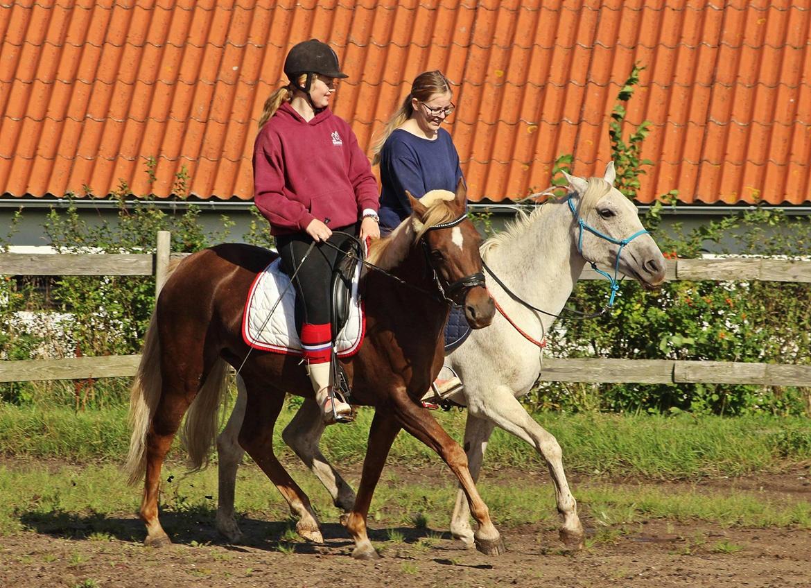 DSP Sunspot - Taget af Lindgreen Photography billede 45