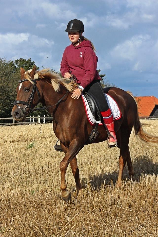 DSP Sunspot - Taget af Lindgreen Photography billede 46