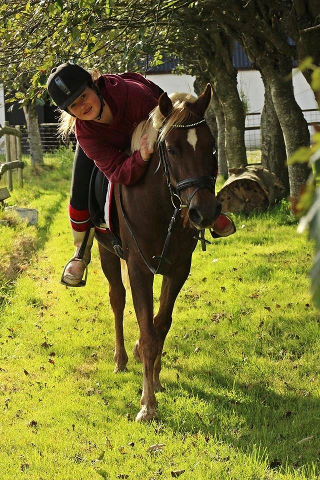 DSP Sunspot - Taget af Lindgreen Photography billede 48